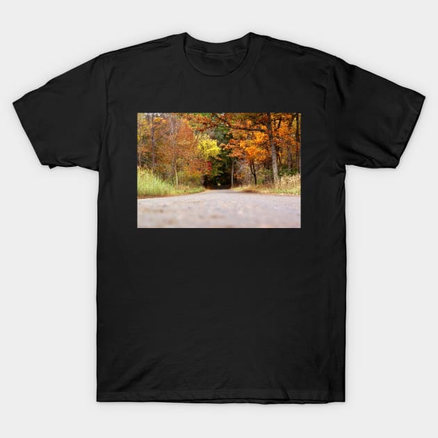 Autumn Tree Tunnel T-Shirt by 1Redbublppasswo